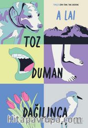 Toz Duman  Dağılınca