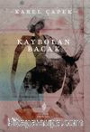 Kaybolan Bacak