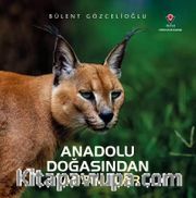 Anadolu Doğasından Yansımalar (Karton Kapak)