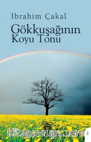 Gökkuşağının Koyu Tonu