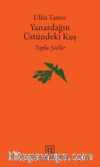 Yanardağın Üstündeki Kuş