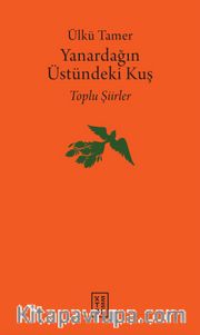 Yanardağın Üstündeki Kuş