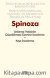 Anlama Yetisinin Düzeltilmesi Üzerine İnceleme - Kısa İnceleme 
