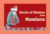 Words of Wisdom from Mawlana