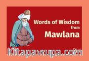 Words of Wisdom from Mawlana
