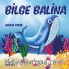Bilge Balina