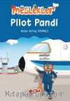 Pilot Pandi / Meslekler