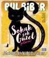 Pul Biber Dergisi Sayı :8 Mayıs 2016