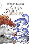 Ateşin Getirdiği Bengisu