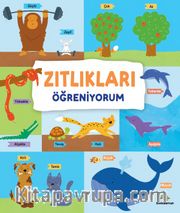 Zıtlıkları Öğreniyorum