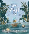 Son Ayı