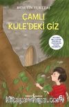 Çamlı Kule’deki Giz