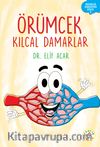 Örümcek Kılcal Damarlar / Organlar Konuşuyor Serisi 5