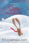 Çiya Kutuplarda