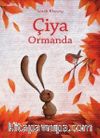 Çiya Ormanda
