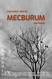 Mecburum <br /> Destanîce Şiirler