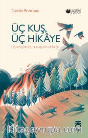 Üç Kuş, Üç Hikaye