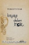 Kayayı Delen İncir