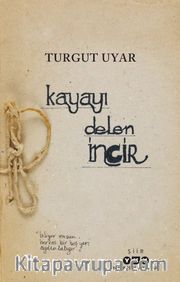 Kayayı Delen İncir