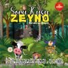 Soru Kuşu Zeyno