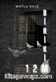 Birikim