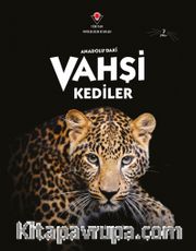 Anadolu'daki Vahşi Kediler
