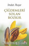Çiğdemleri Solan Bozkır