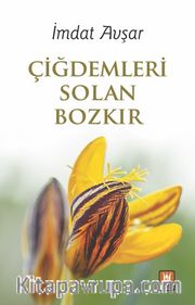 Çiğdemleri Solan Bozkır
