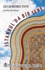 İstanbul'da Bir Sene