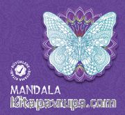 Mandala / Renklerle Dans Et!