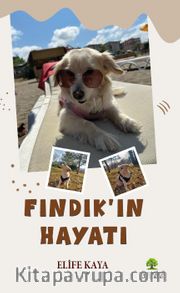 Fındık’ın Hayatı