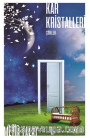 Kar Kristalleri
