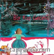Bir Kış Gecesi