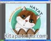Anaokulu Kedisi Hayat