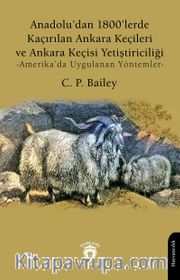 Anadolu’dan 1800’lerde Kaçırılan Ankara Keçileri ve Ankara Keçisi Yetiştiriciliği <br /> Amerika’da Uygulanan Yöntemler
