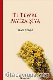 Tı Tewrê Payîza Şîya 