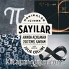 Dakikalar İçinde Sayılar / Anında Açıklanan 200 Temel Kavram 