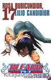 Bleach 17 