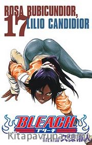 Bleach 17 