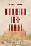 Hindistan Türk Tarihi