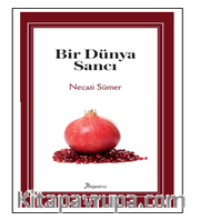 Bir Dünya Sancı