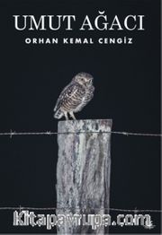 Umut Ağacı