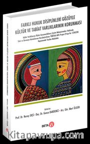Farklı Hukuk Disiplinleri Gözüyle Kültür ve Tabiat Varlıklarının Korunması