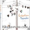 Gakgukların Maceraları (6 Kitap Takım)
