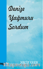 Denize Yağmuru Sordum