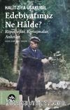 Edebiyatımız Ne Halde? & Röportajlar, Konuşmalar, Anketler 