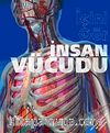 İnsan Vücudu-İçini Gör