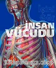 İnsan Vücudu-İçini Gör