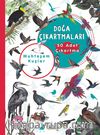 Muhteşem Kuşlar Doğa Çıkartmaları