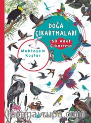 Muhteşem Kuşlar Doğa Çıkartmaları
